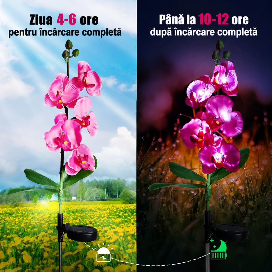 Orhidei Solare Decorative 70CM – Iluminare Elegantă pentru Grădina Ta