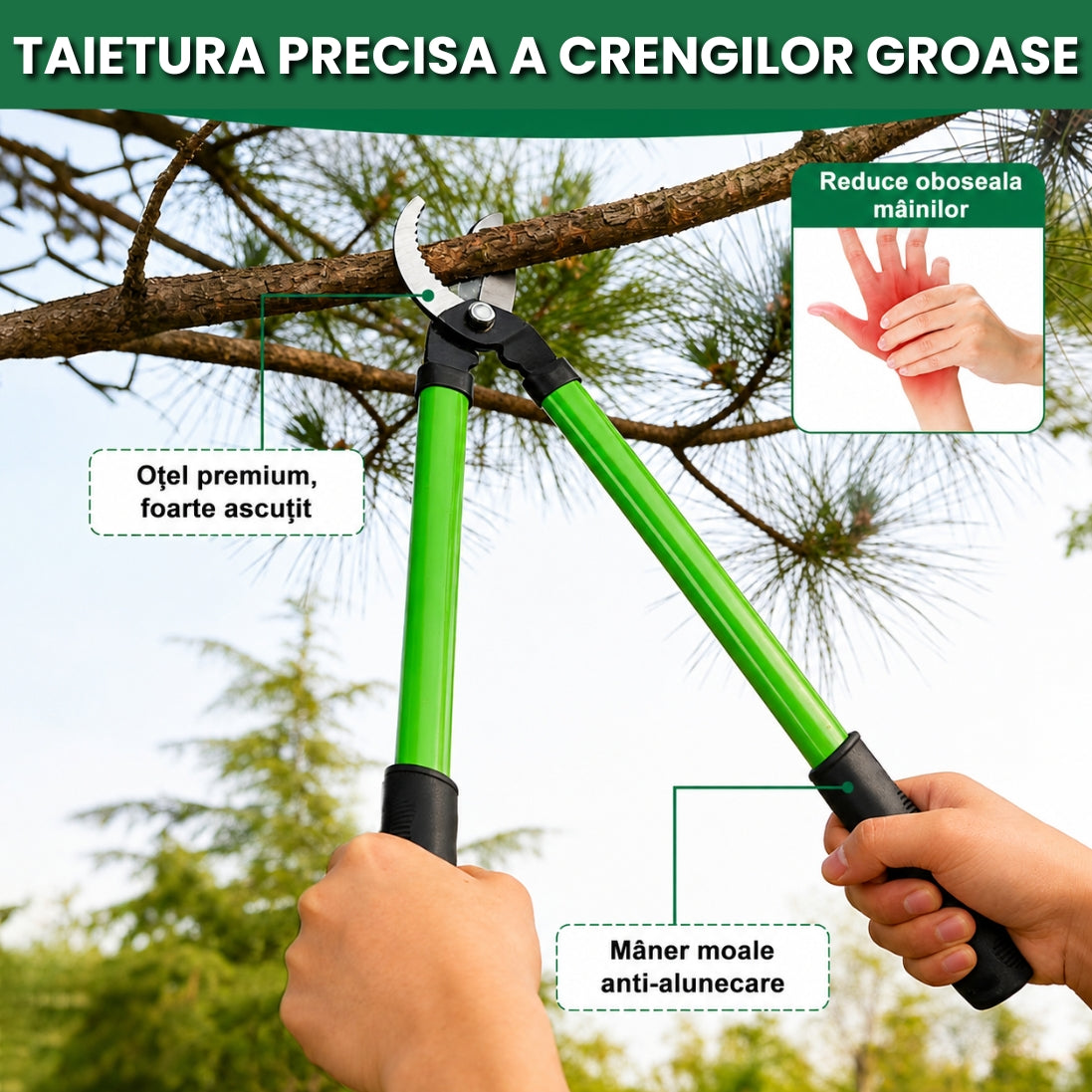 Set Profesional 3 Foarfece pentru Grădină – Tăieri Precise și Fără Efort!