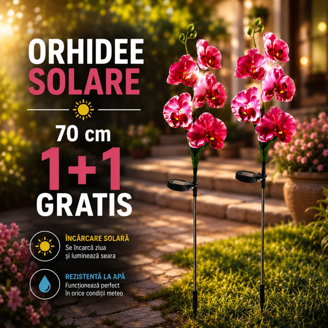 Orhidei Solare Decorative 70CM – Iluminare Elegantă pentru Grădina Ta
