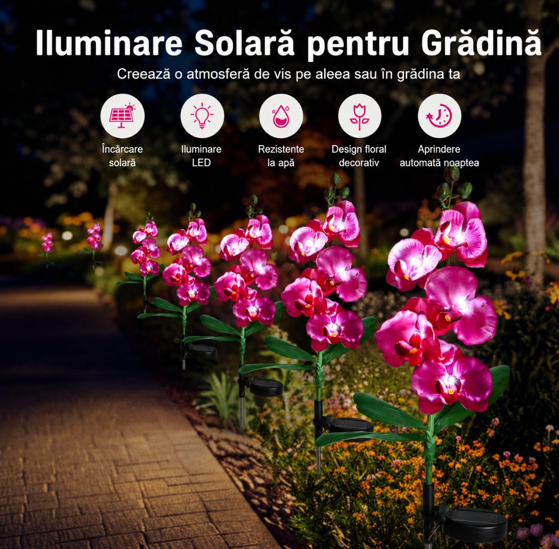 Orhidei Solare Decorative 70CM – Iluminare Elegantă pentru Grădina Ta