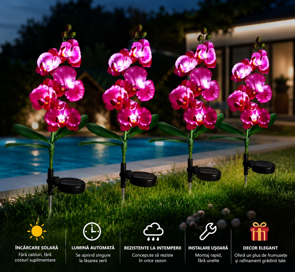 Orhidei Solare Decorative 70CM – Iluminare Elegantă pentru Grădina Ta