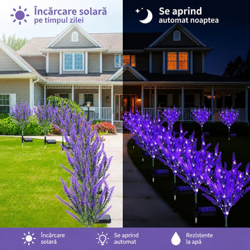 Flori Lavanda Solare LED pentru Grădină – Aspect Natural și Iluminare Automată