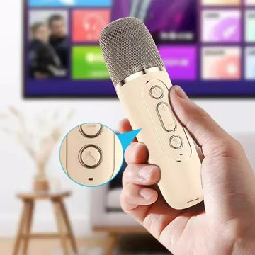 Set Karaoke cu 2 Microfoane și Boxă Portabilă cu Bluetooth și Lumini RGB + CADOU