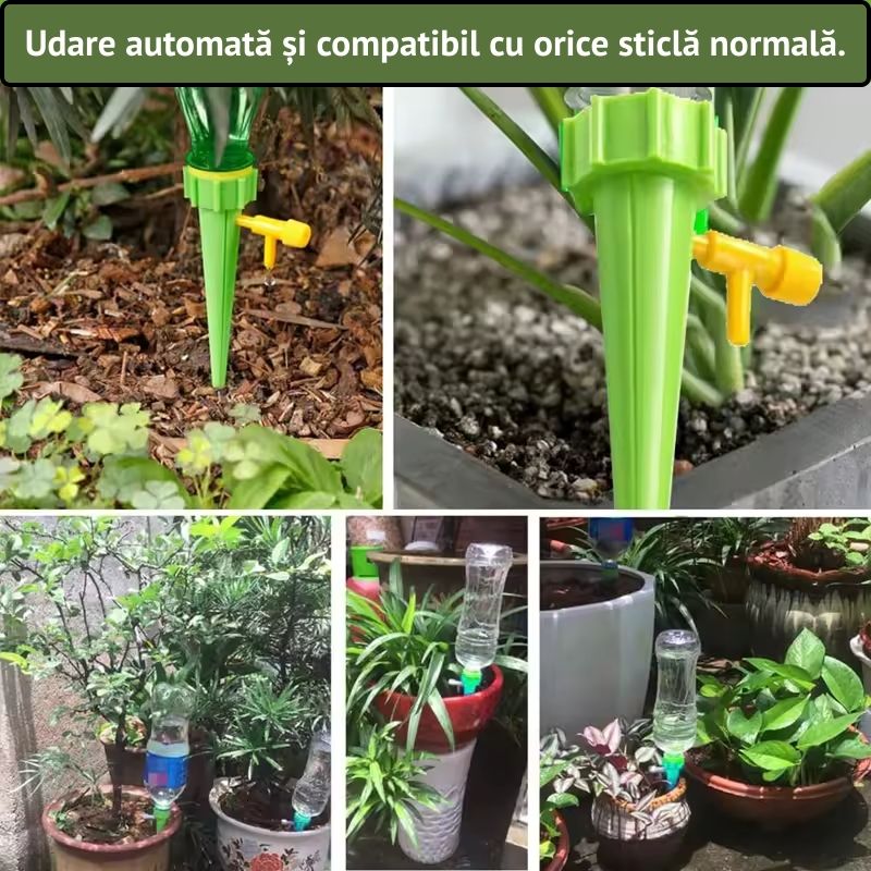 Set 20 picuratori automate pentru plante - Udare gata in cateva secunde