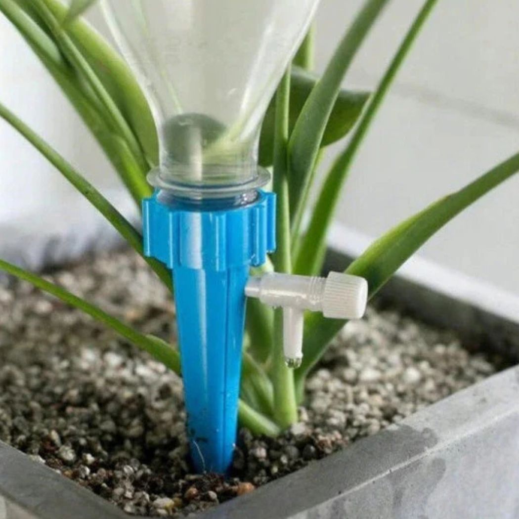 Set 20 picuratori automate pentru plante - Udare gata in cateva secunde